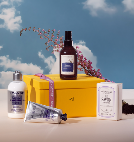 Bouteille Inoxydable L'Occitane Fleur Dentelle – 130ml, Avec Boîte, Nouveauté