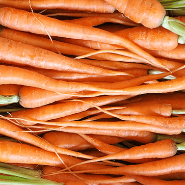 Huile V&eacute;g&eacute;tale de Carotte