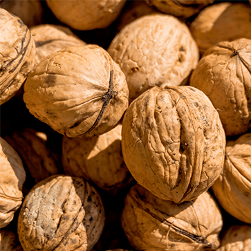 Crushed Walnut Shells