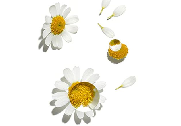 L'OCCITANE Gentle & Balance Shampoo 300ml | Silicone & Sulfate Free | Vegan & 99% Readily Biodegradable | Enriched With Essential Oils | Luxury & Clean Beauty Hair Care For All Hair Types