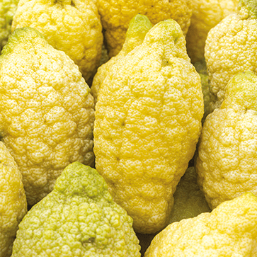 Extrait de C&eacute;drat