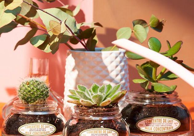 Do It Yourself | Upcycling With L'Occitane | L'Occitane en Provence