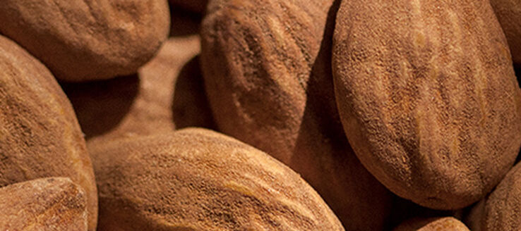 Why Should You Use Almond Body Care?