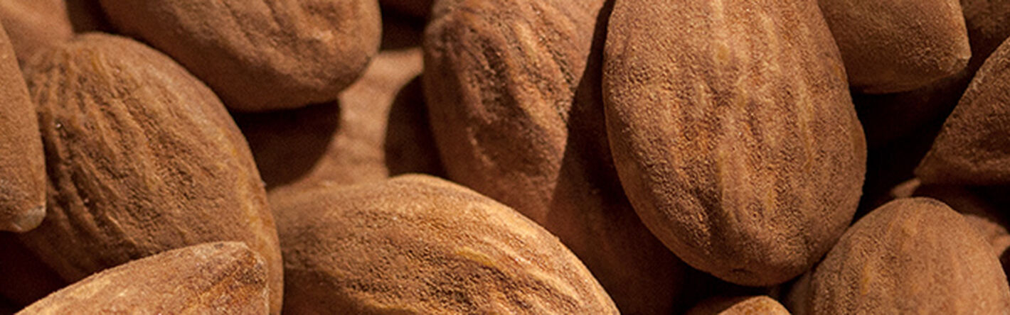 Why Should You Use Almond Body Care?