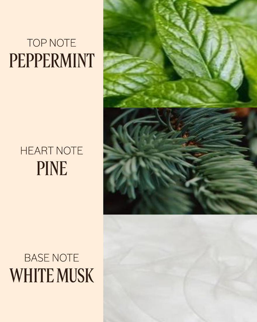 view 4/11 of Nuit en Pin&egrave;de Whipped Hand Cream, , USRECT