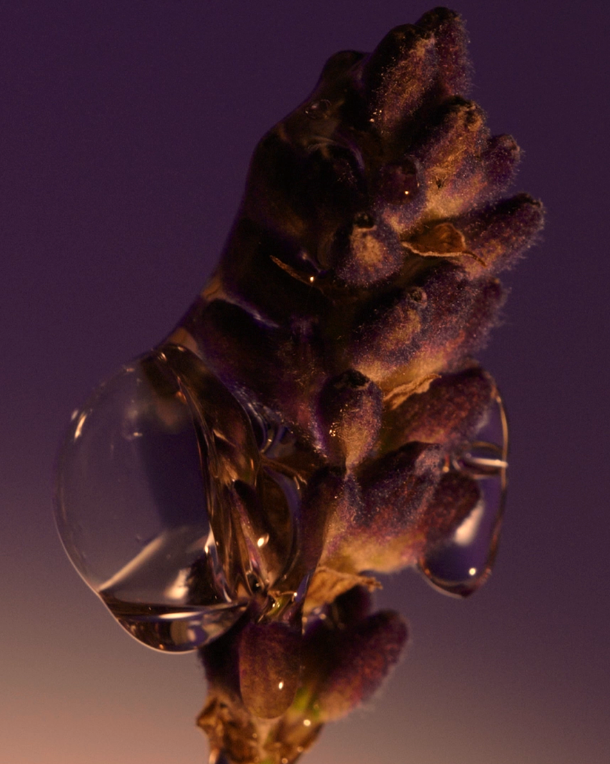 view 6/7 of Lavender Shower Gel, , USRECT