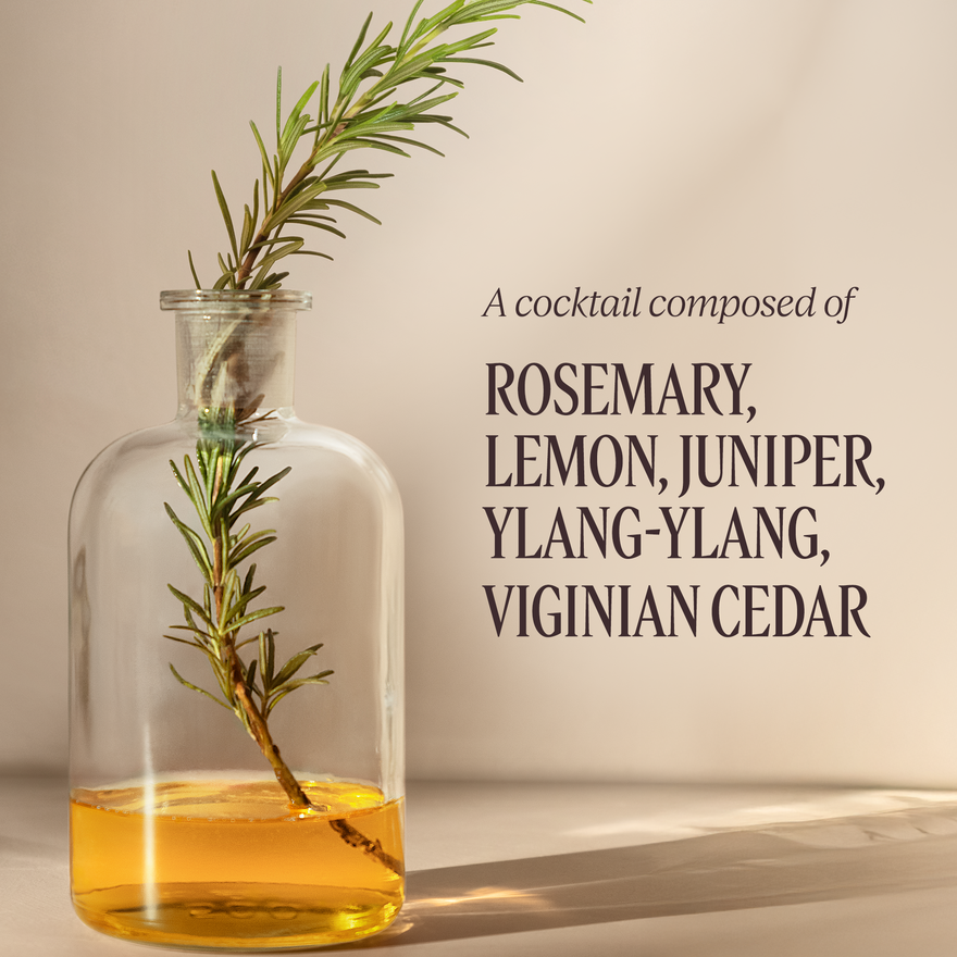 view 6/7 of Volume & Strength Leave-In Detangling Mist, , USRECT