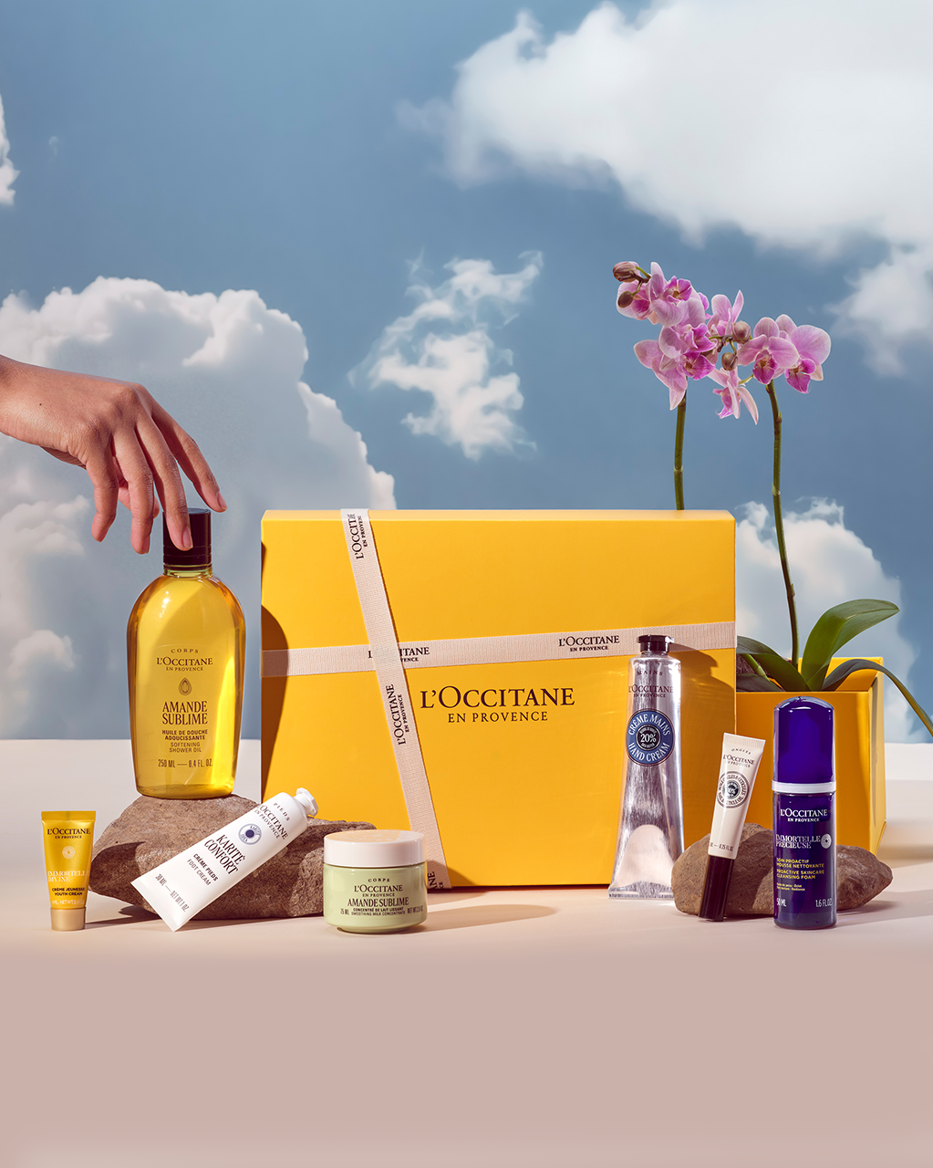 L'OCCITANE メルヴィータ コスメ まとめ売り L'OCCITANE メルヴィータ コスメ まとめ売り L'OCCITANE メルヴィータ