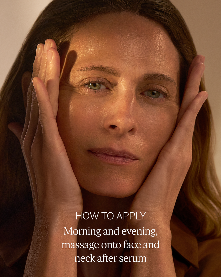 Immortelle Harmonie Cream 1.7 oz | L'Occitane en Provence