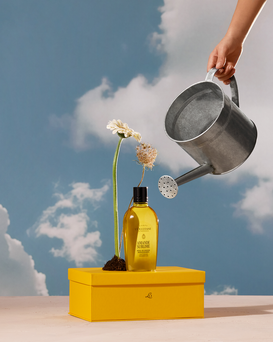 L'OCCITANE アーモンド ボディセット Almond Body Care Gift Set – Amande Collection | L'Occitane | L