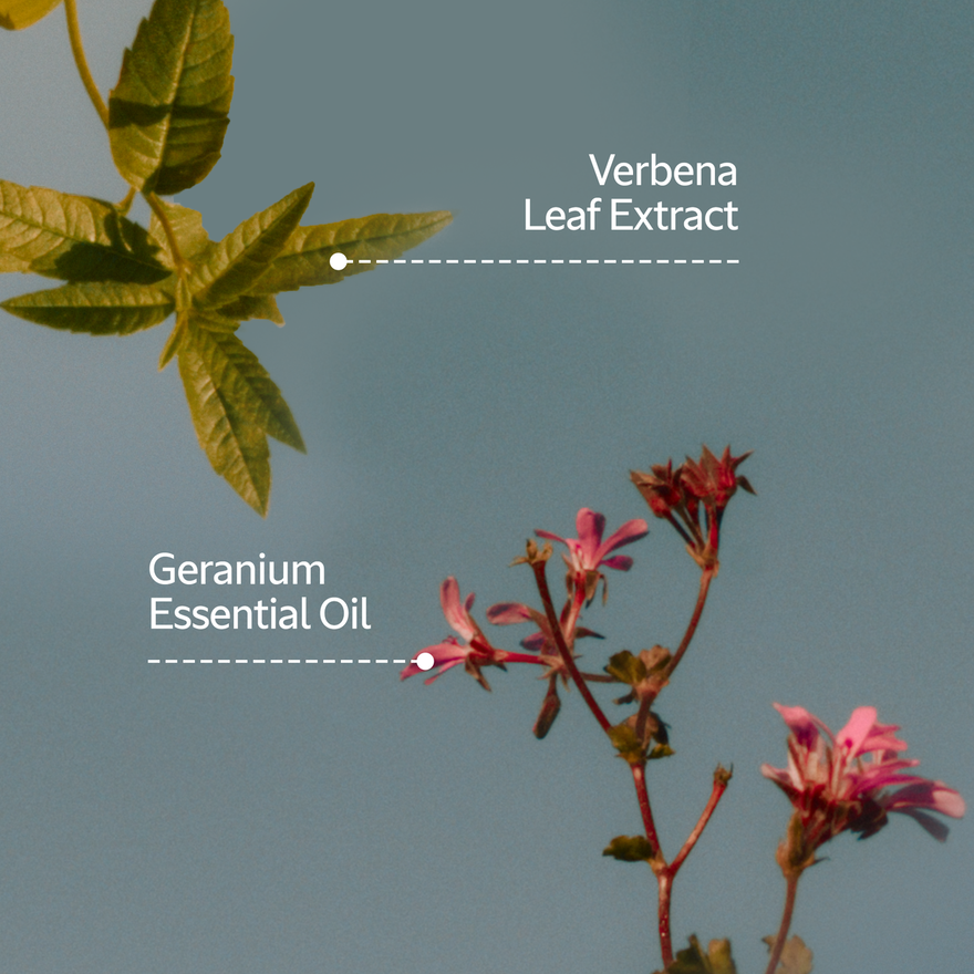 view 4/6 of Verbena Geranium Eau de Toilette, , USRECT