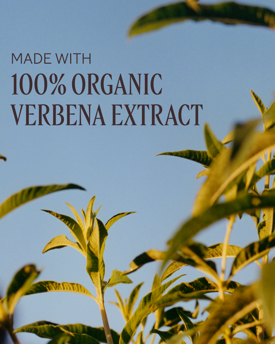 view 3/8 of Verbena Collection, , CARECT