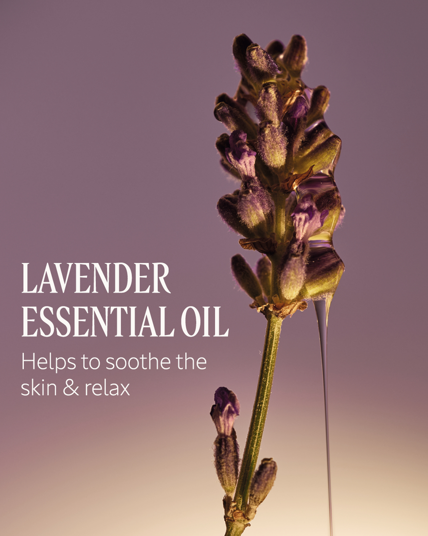 view 4/7 of Le Savon Lavender Liquid Hand Soap, , USRECT