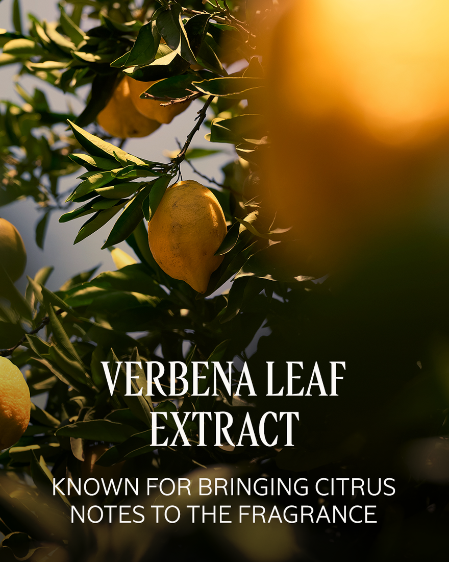 view 2/7 of Verveine Agrumes (Citrus Verbena)  Perfumed Hand Cream, , CARECT