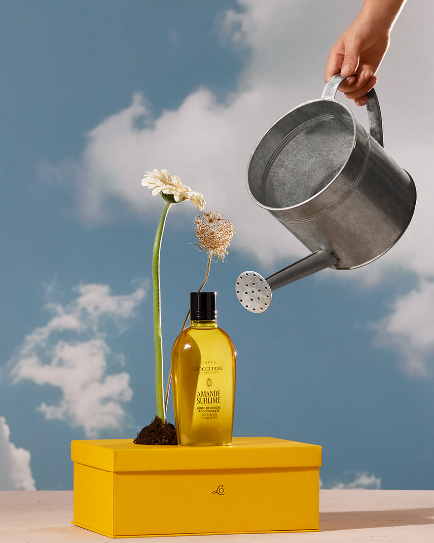 Beauty Gift Set – Best of L'Occitane | L'Occitane | L'Occitane en