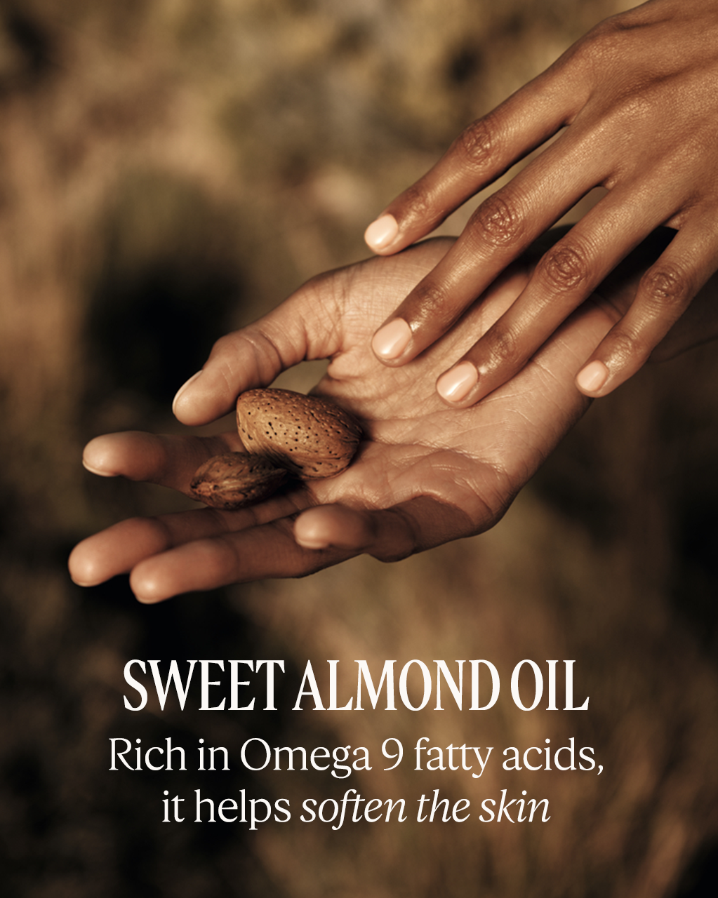 Amande Shower Oil Refill