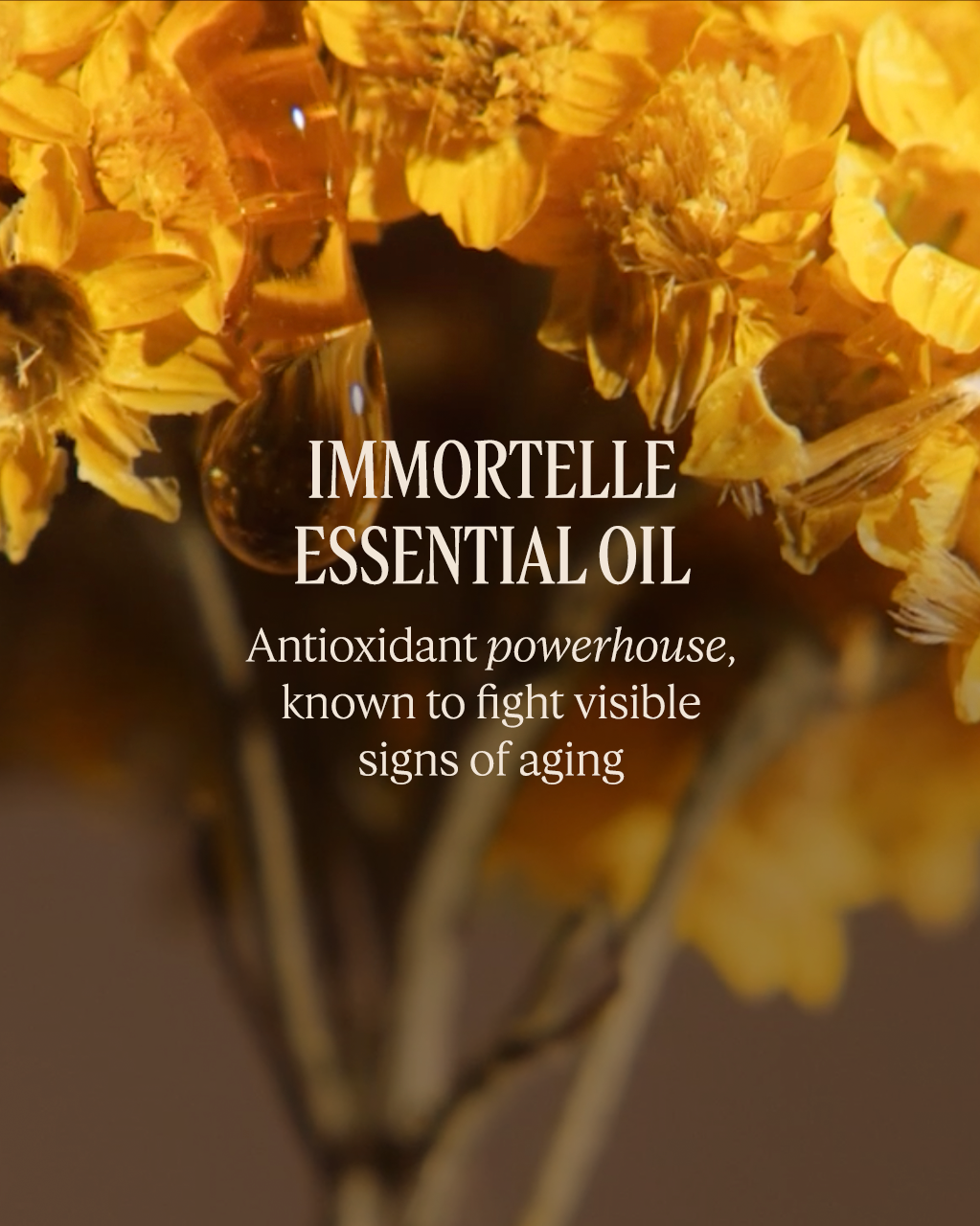 Immortelle Reset Précieuse