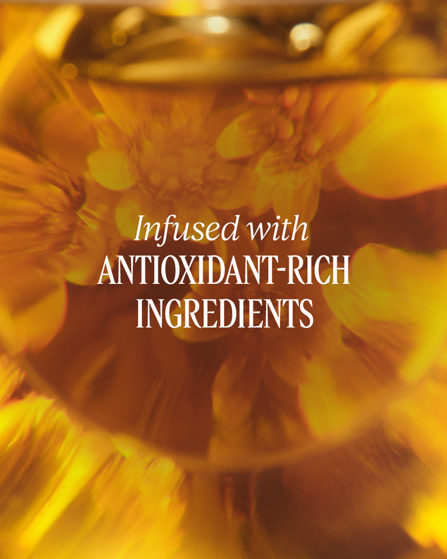 Immortelle Divine Smoothing Neck Cream, USRECT (2) 1.8 oz | L&rsquo;Occitane en Provence