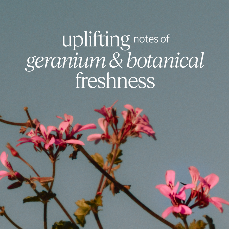 view 5/6 of Verbena Geranium Eau de Toilette, , CARECT