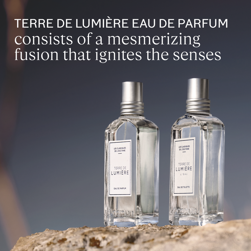 Terre de Lumière Eau De Parfum 50ML 1.6 fl. oz | L'Occitane en