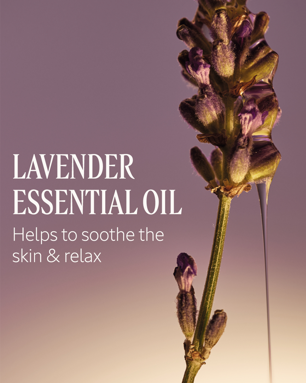 Le Savon Shea Lavender Extra-Gentle Body Soap