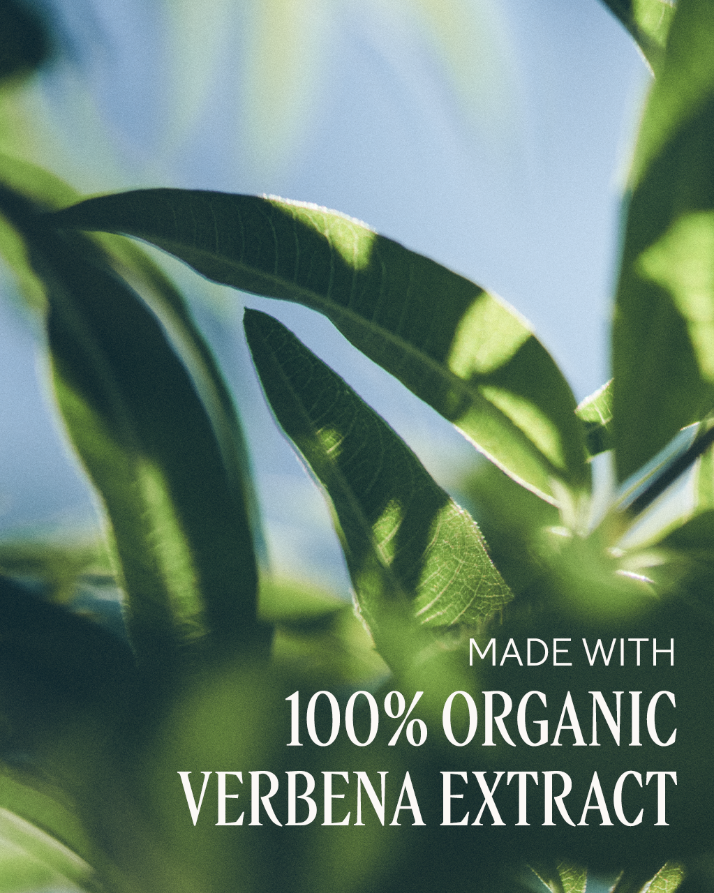 La Lotion Verbena Moisturizing Hand Lotion