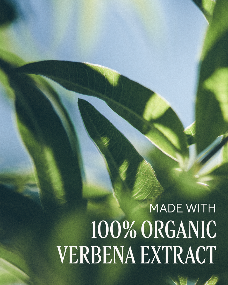 view 4/6 of La Lotion Verbena Moisturizing Hand Lotion, , USRECT