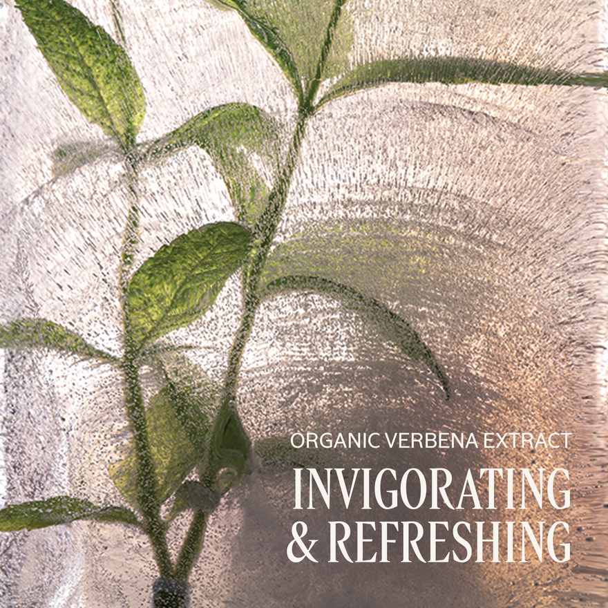 view 3/6 of Shea Verbena Liquid Soap + Refill Duo, , CARECT