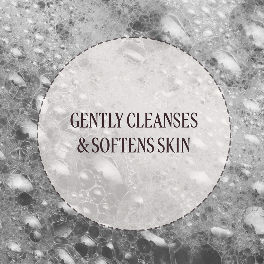 view 5/6 of Shea Verbena Liquid Soap + Refill Duo, , CARECT