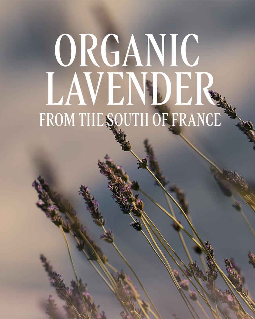view 2/8 of Lavande (Lavender) Perfumed Hand Cream, , CARECT
