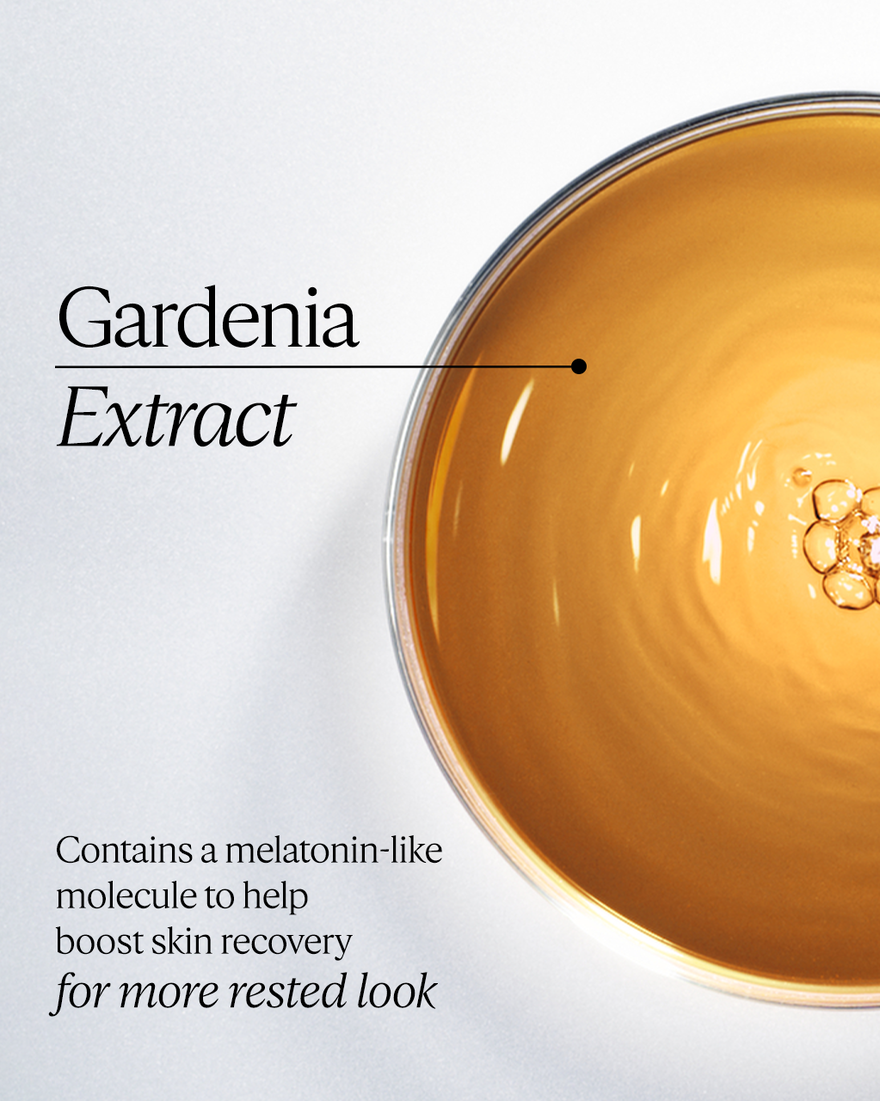 image 4/7 de Huile-en-sérum Immortelle Reset Nuit, , CARECT