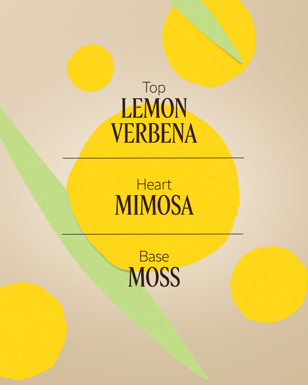Mimosa Verveine Perfumed Body Lotion