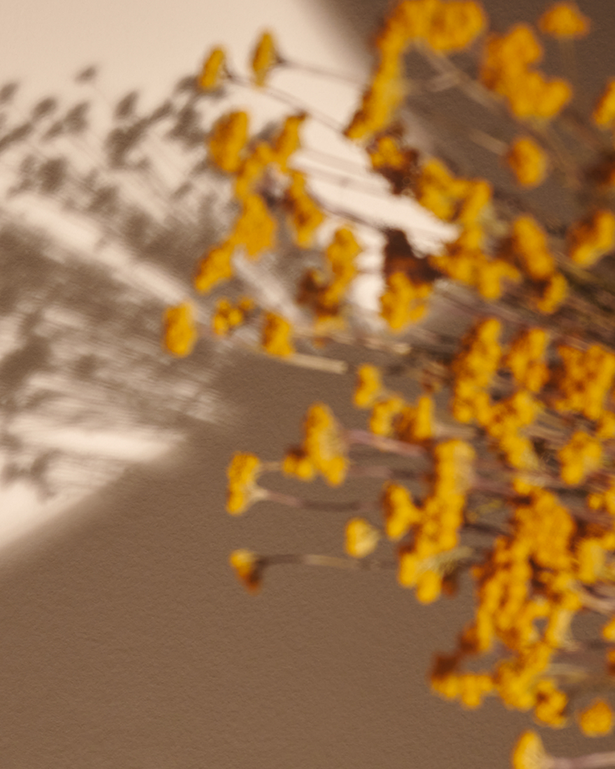 view 4/10 of Immortelle Overnight Reset Oil-in-Serum Refill, , USRECT