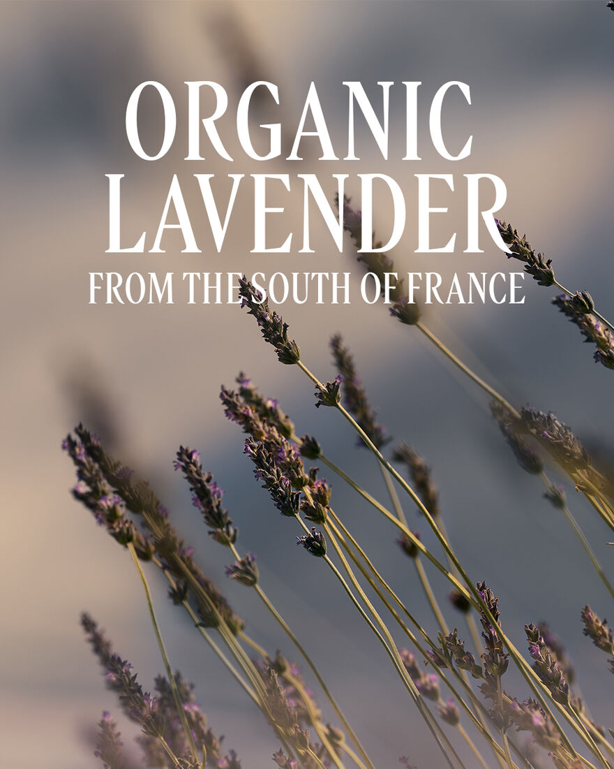 view 3/8 of Lavande (Lavender) Bubble Bath, , CARECT