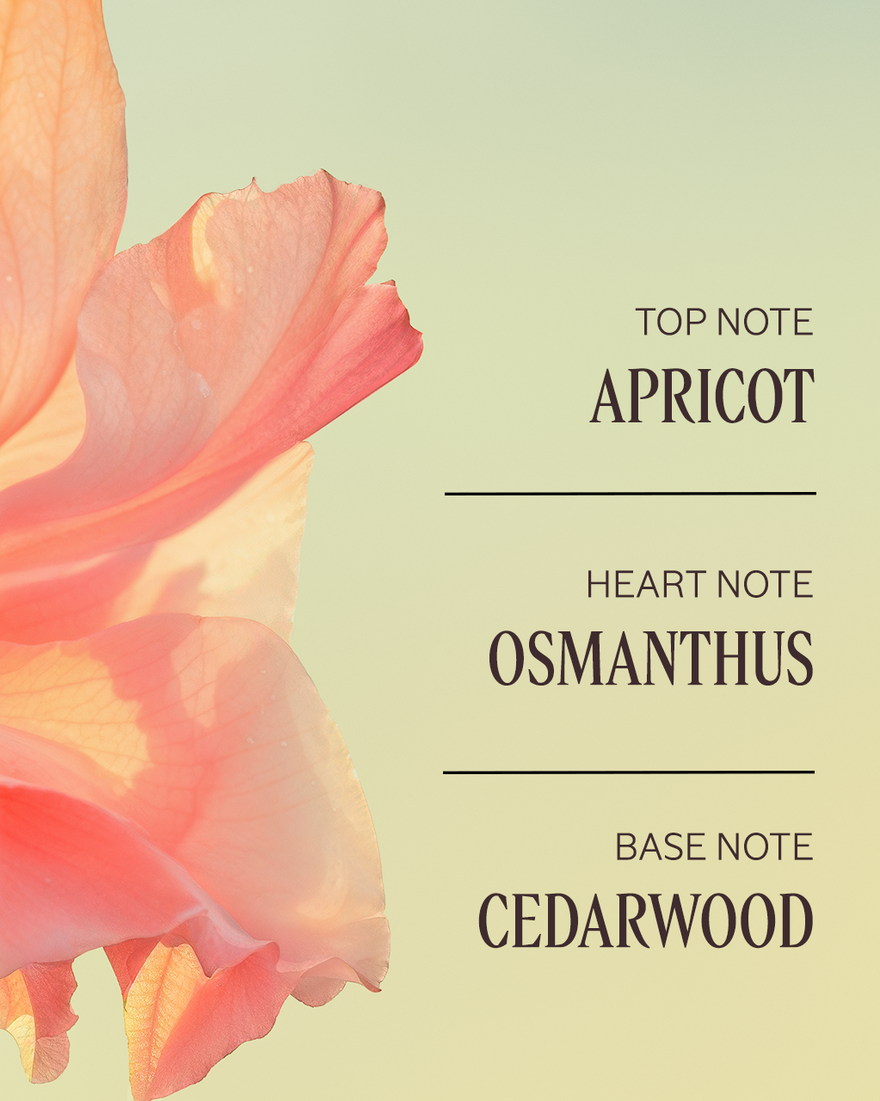 view 3/5 of Osmanthus Abricot Perfumed Hand Cream, , CARECT