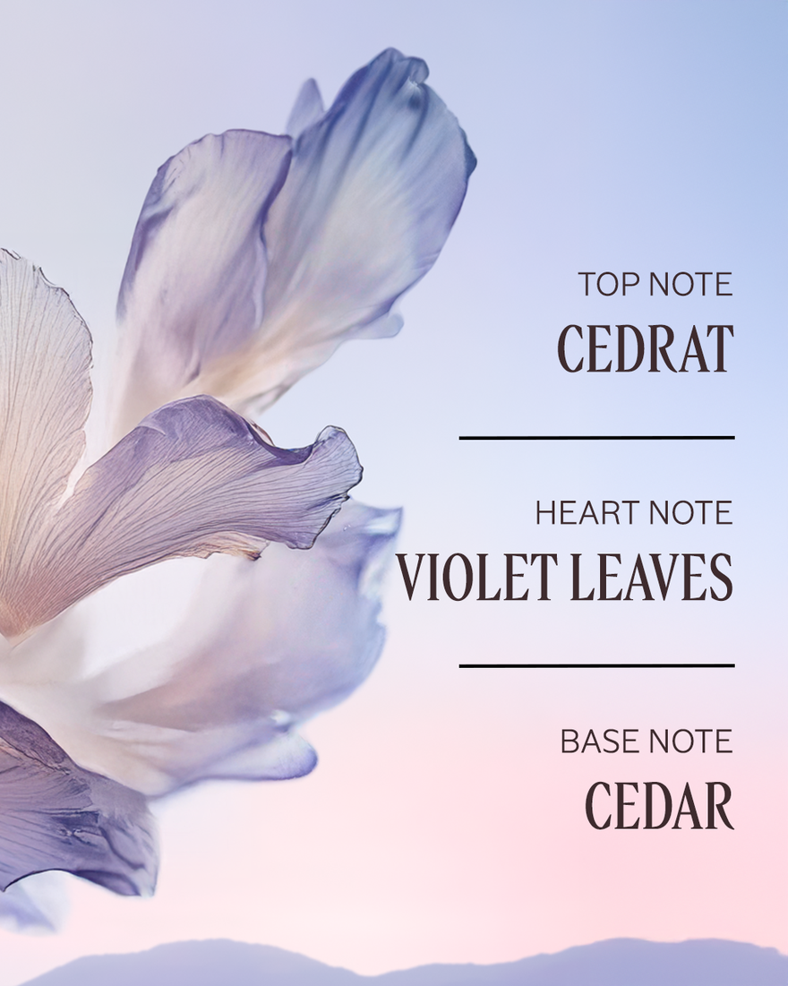 view 3/6 of Lavande Blanche Perfumed Shower Gel, , CARECT