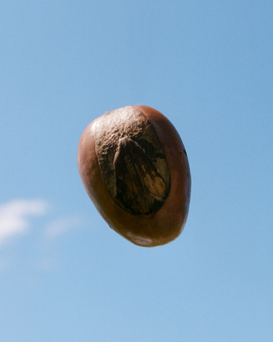 view 4/7 of Shea Butter Ultra Rich Shower Cream, , USRECT