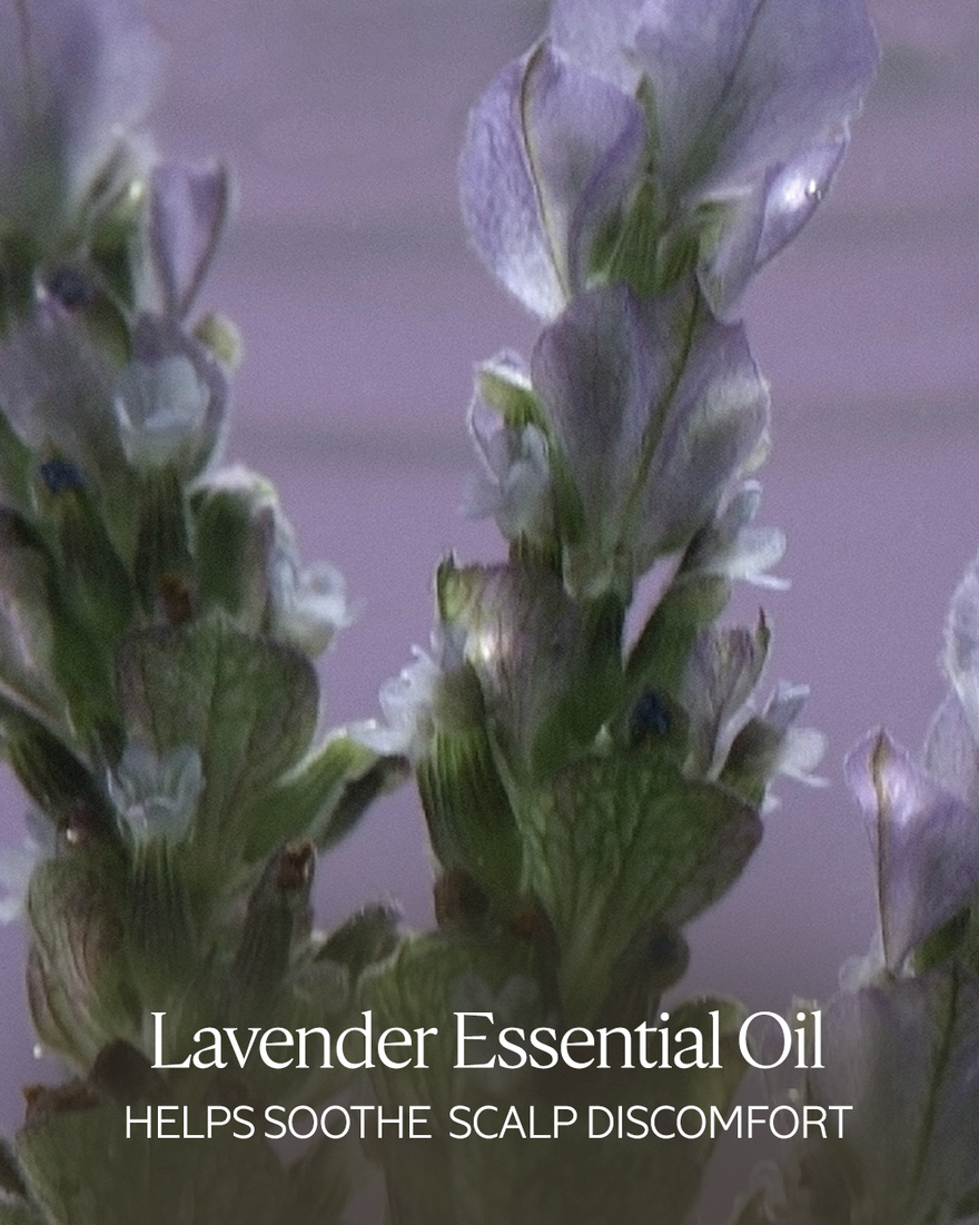 view 3/7 of Gentle & Balance Shampoo Refill, , USRECT