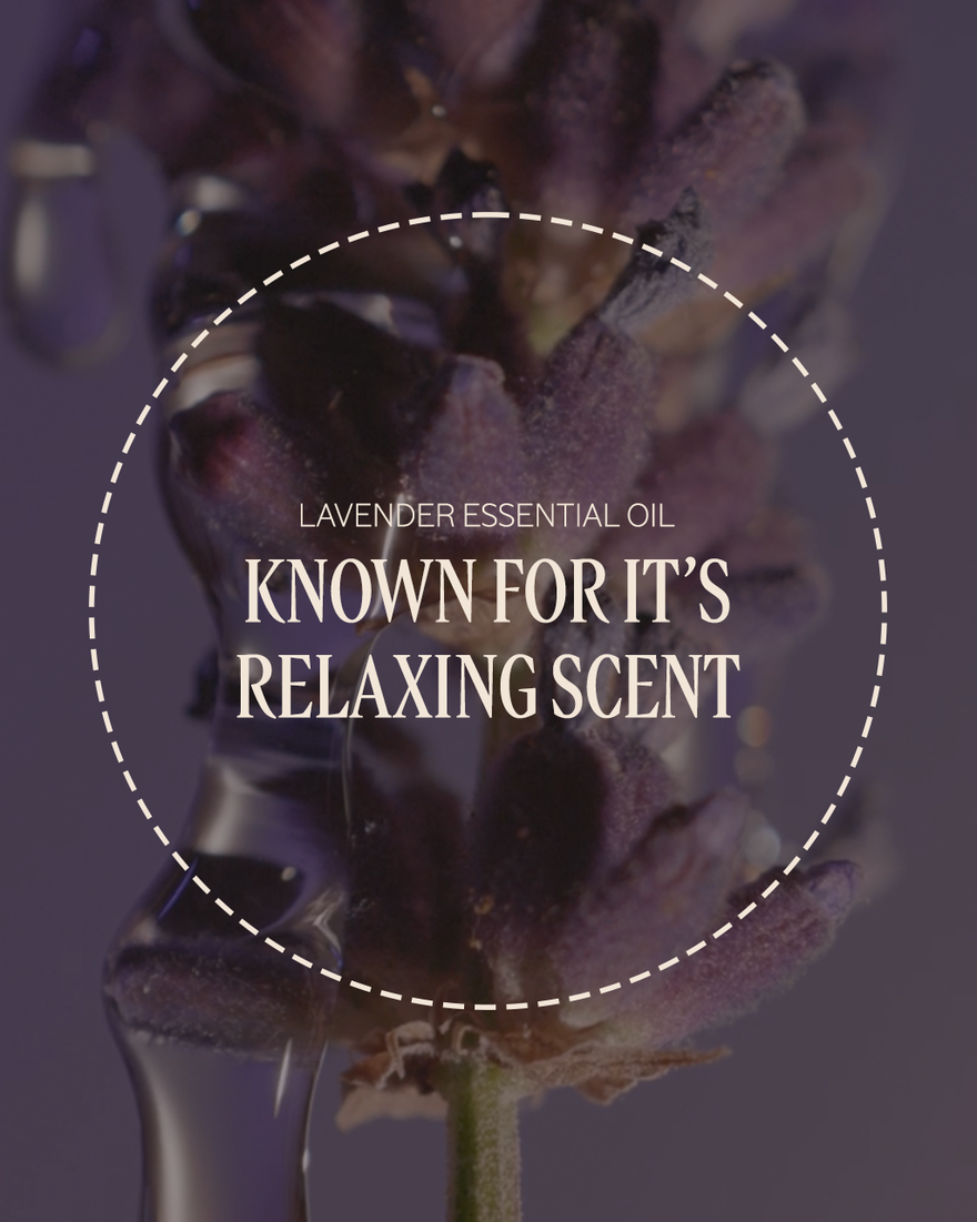 image 4/7 de Lavande Maison et corps, , CARECT