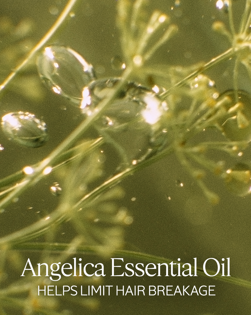 image 4/7 de Recharge de shampoing réparateur intensif, , CARECT