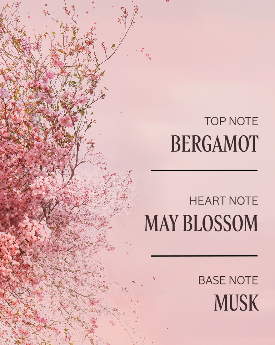 view 3/6 of Noble Épine Perfumed Shower Gel, , CARECT