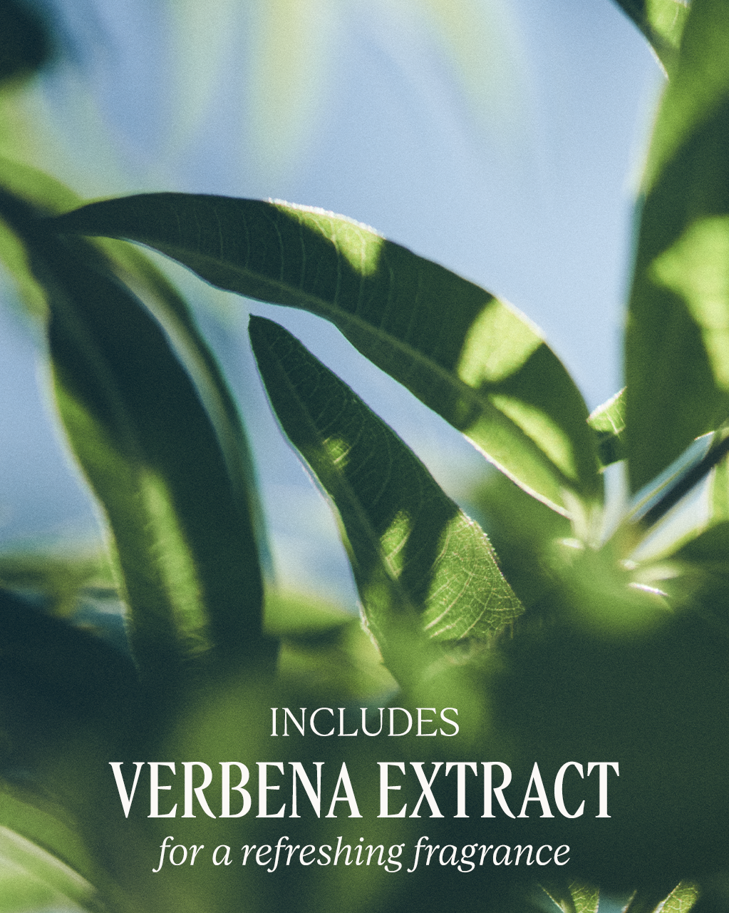 Le Savon Shea Verbena Extra-Gentle Body Soap