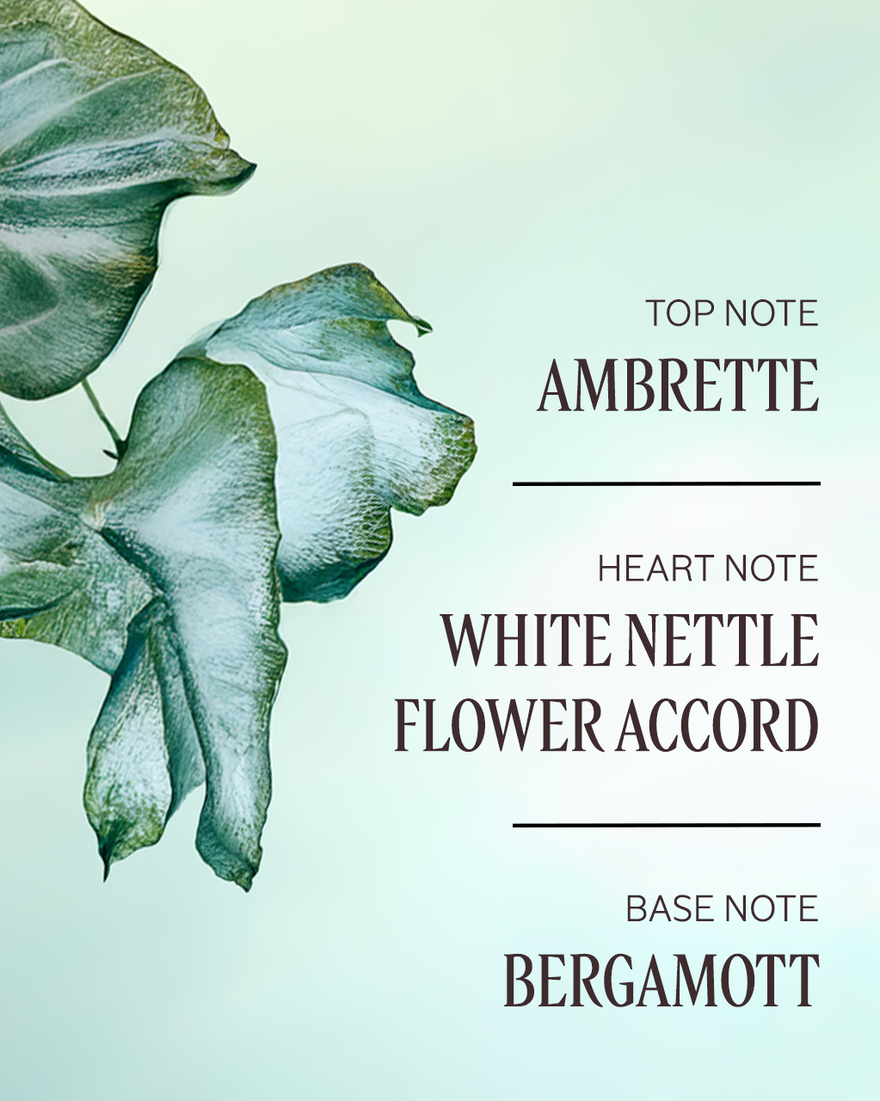 view 3/7 of Ortie Blanche (Formerly Herbae) Perfumed Body Lotion, , CARECT