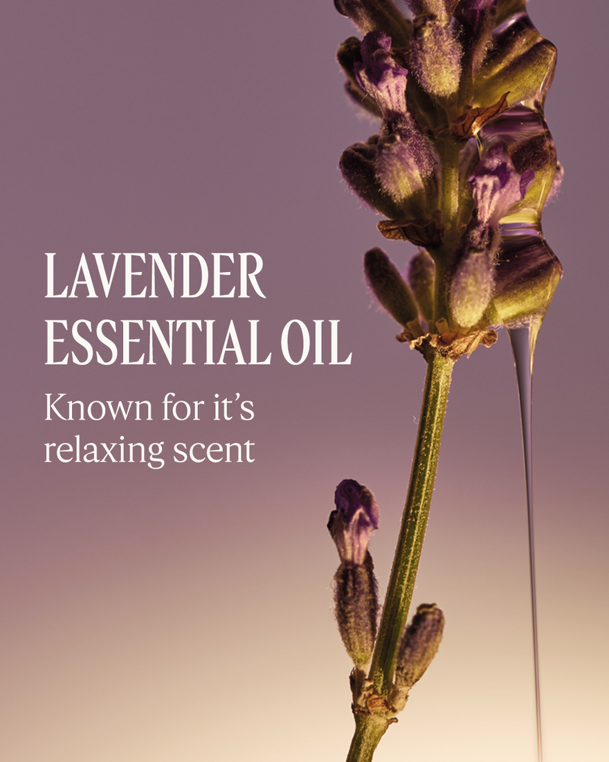 view 3/9 of Lavender Collection, , USRECT