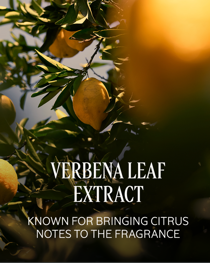 view 7/9 of Citrus Verbena Perfumed Shower Gel Refill, , USRECT