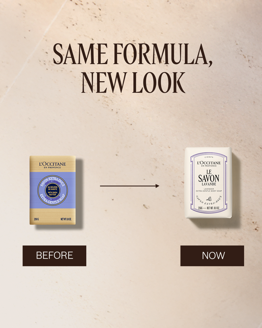 Le Savon Shea Lavender Extra-Gentle Body Soap | L'Occitane en Provence