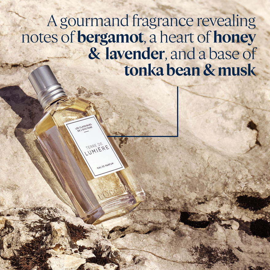 Terre de Lumière Eau De Parfum 50ML 1.6 fl. oz | L'Occitane en