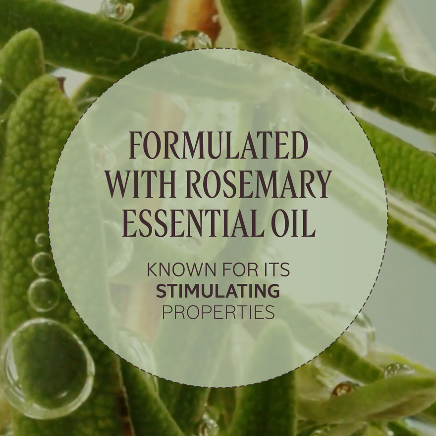 view 3/7 of Volume & Strength Leave-In Detangling Mist, , CARECT