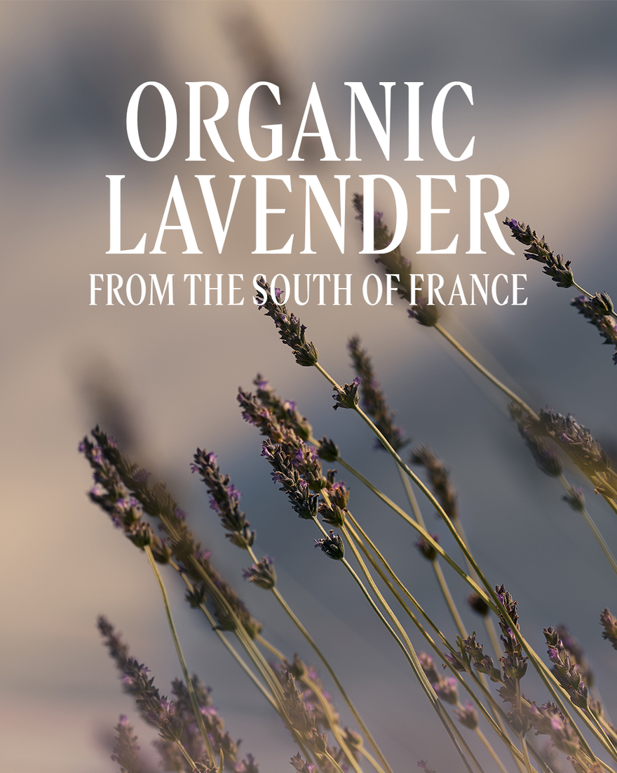 image 3/8 de Eau de toilette Lavande, , CARECT