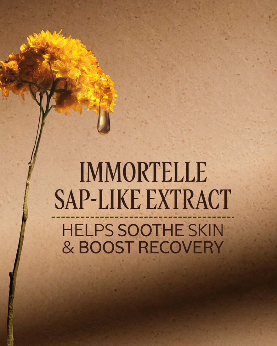 Immortelle Reset Triphase Essence 1.6 fl. oz | L'Occitane en Provence